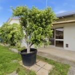 012 Open2view ID1001720 132 48 80 Settlement Road