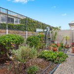 469 Palm Lake 005