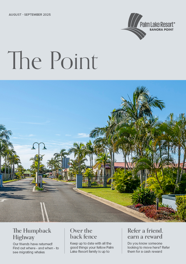 Banora Point August September 2025