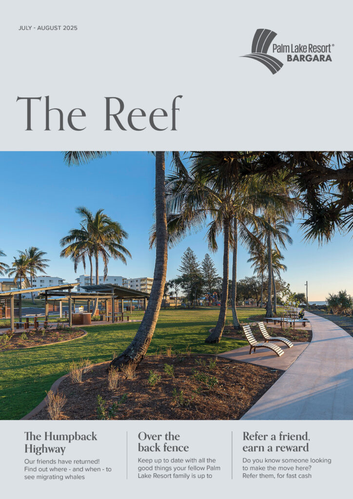 Bargara July Aug 2025
