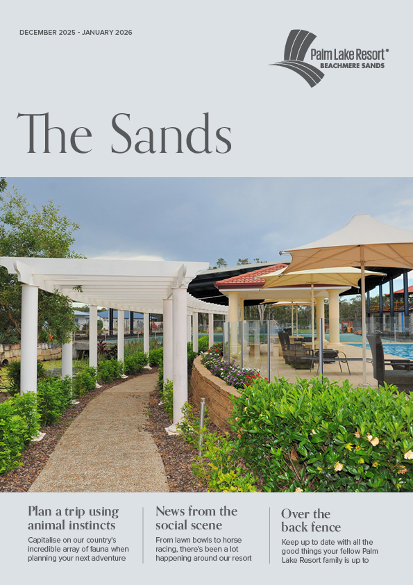 Beachmere Sands Dec 2025 Jan 2026