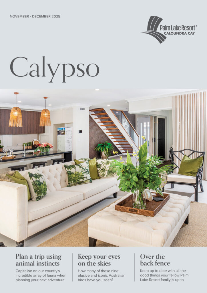 Caloundra Cay November December 2025