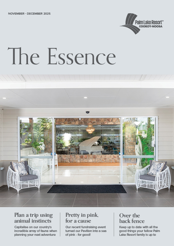 Cooroy Noosa November December 2025