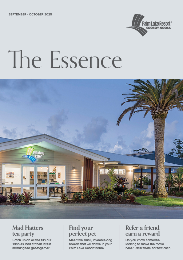 Cooroy Noosa September October 2025