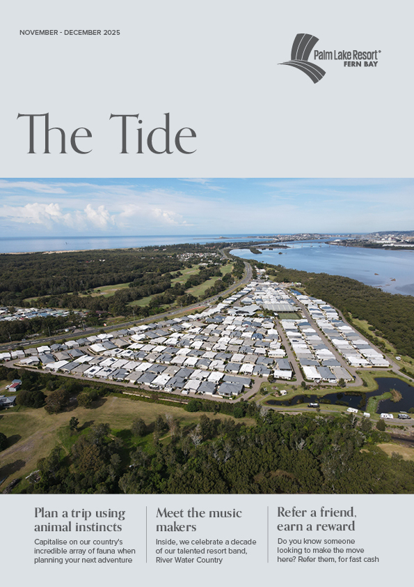 Fern Bay November December 2025