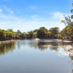 Hervey Bay 146 Image 20