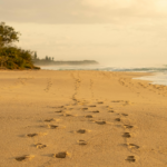 Location Gallery Sunrise Beach