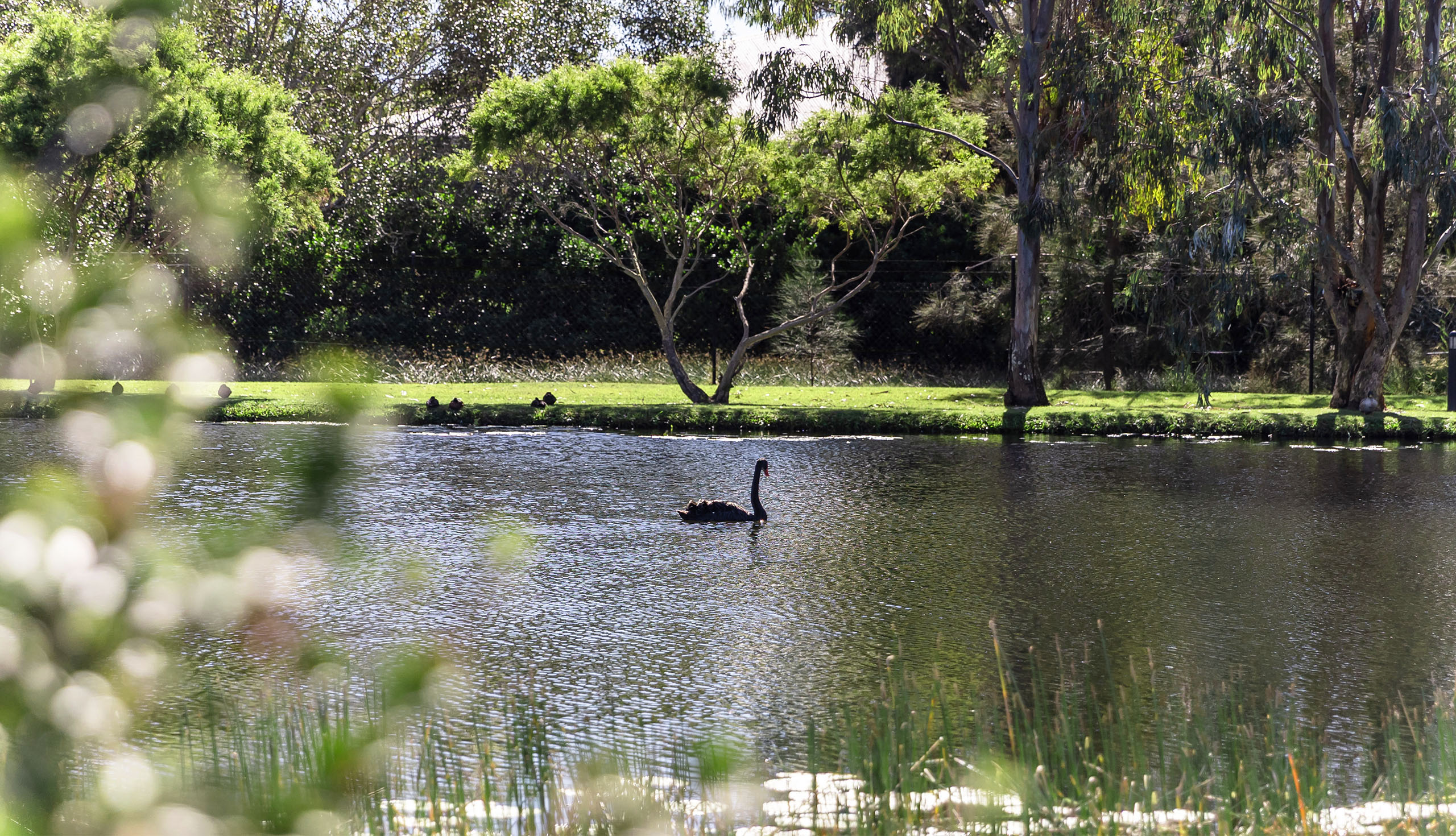 PLR Deception Bay 28.05.25 (44) banner web.JPG