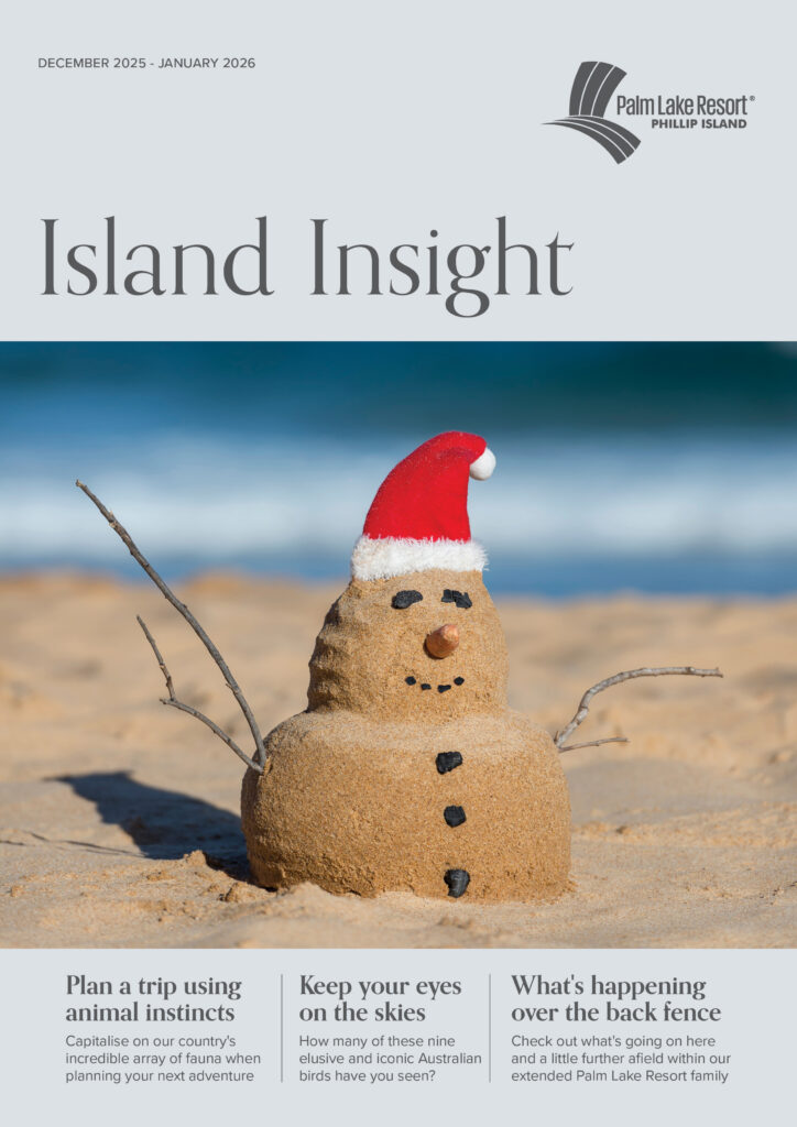 Phillip Island Dec Jan 2026