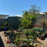 Toowoomba 162 Image 5