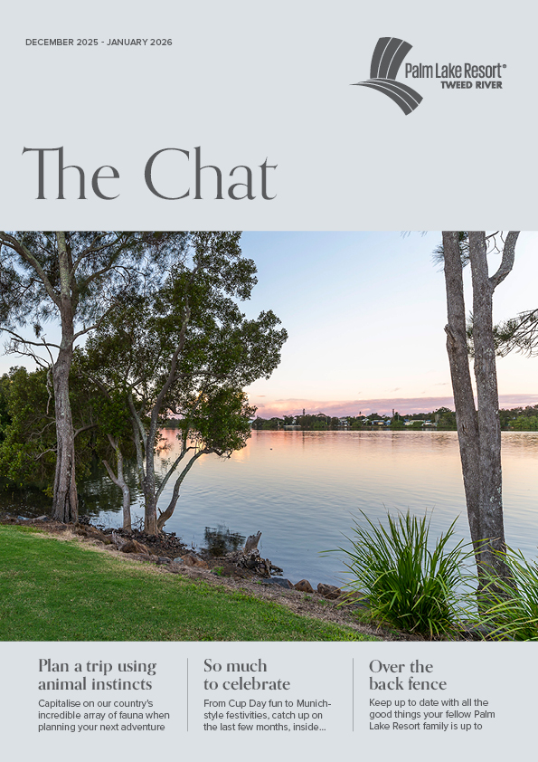 Tweed River December 2025 January 2026