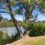 Upper Coomera 15 Image 17