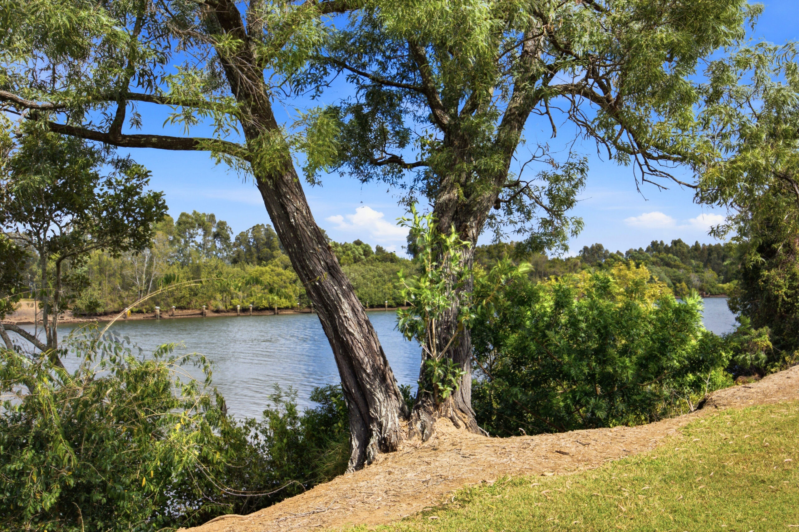 Upper Coomera 15 Image 17